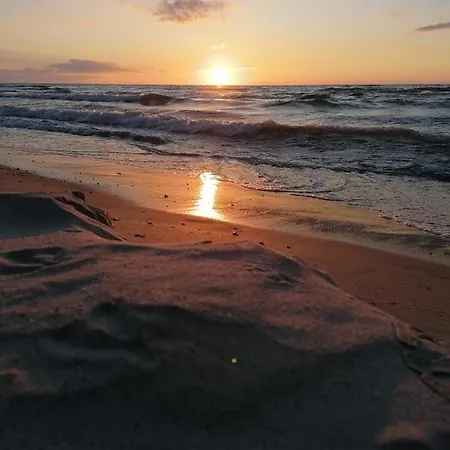 Zalotna Mewa