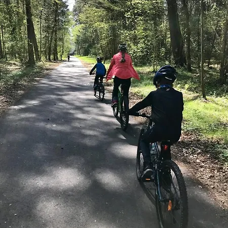 Zalotna Mewa アパート