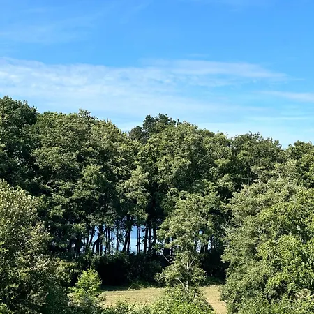 Zalotna Mewa * Gaski (Koszalin)