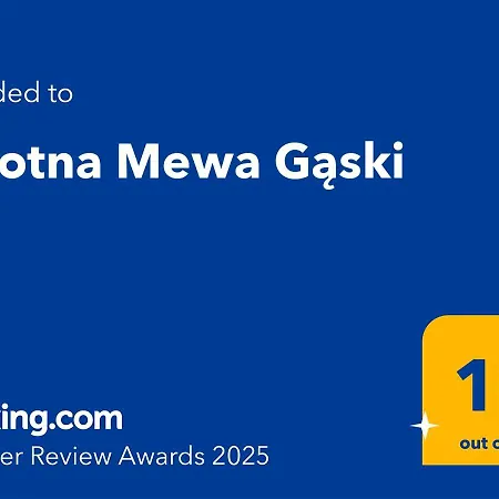 Zalotna Mewa * Gąski