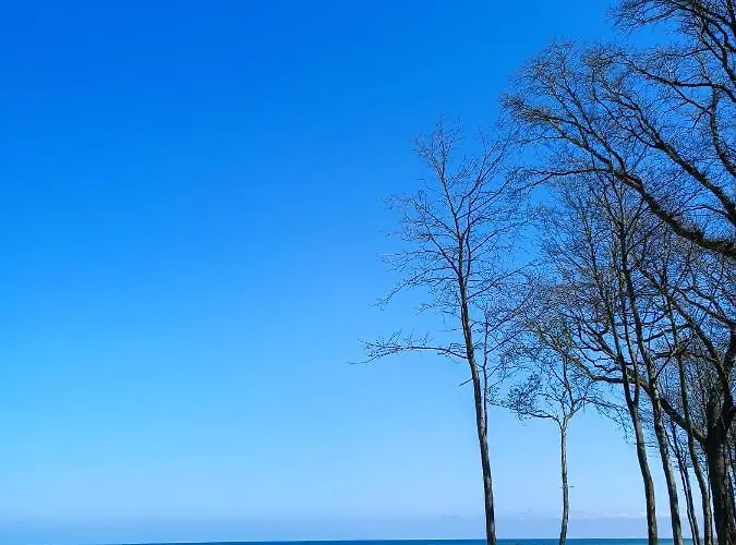 Appartamento Zalotna Mewa *