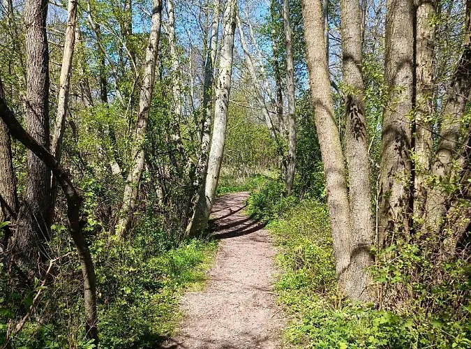 Zalotna Mewa Appartamento Gąski