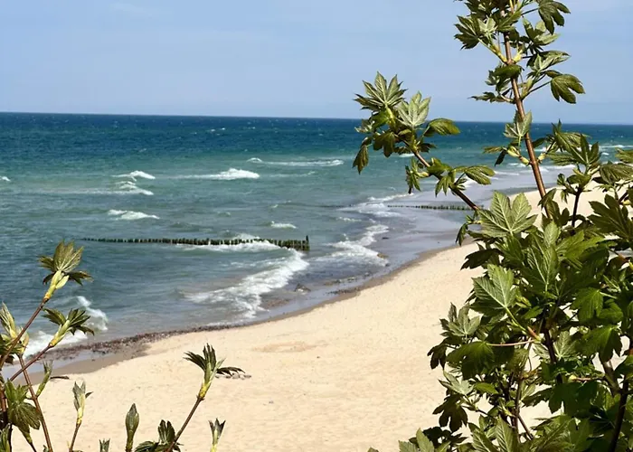 Appartamento Zalotna Mewa *